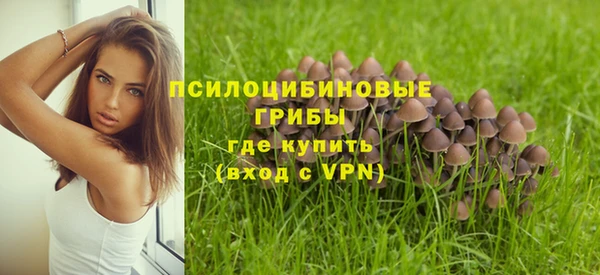 гидропоника Балахна