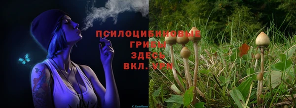 скорость Баксан
